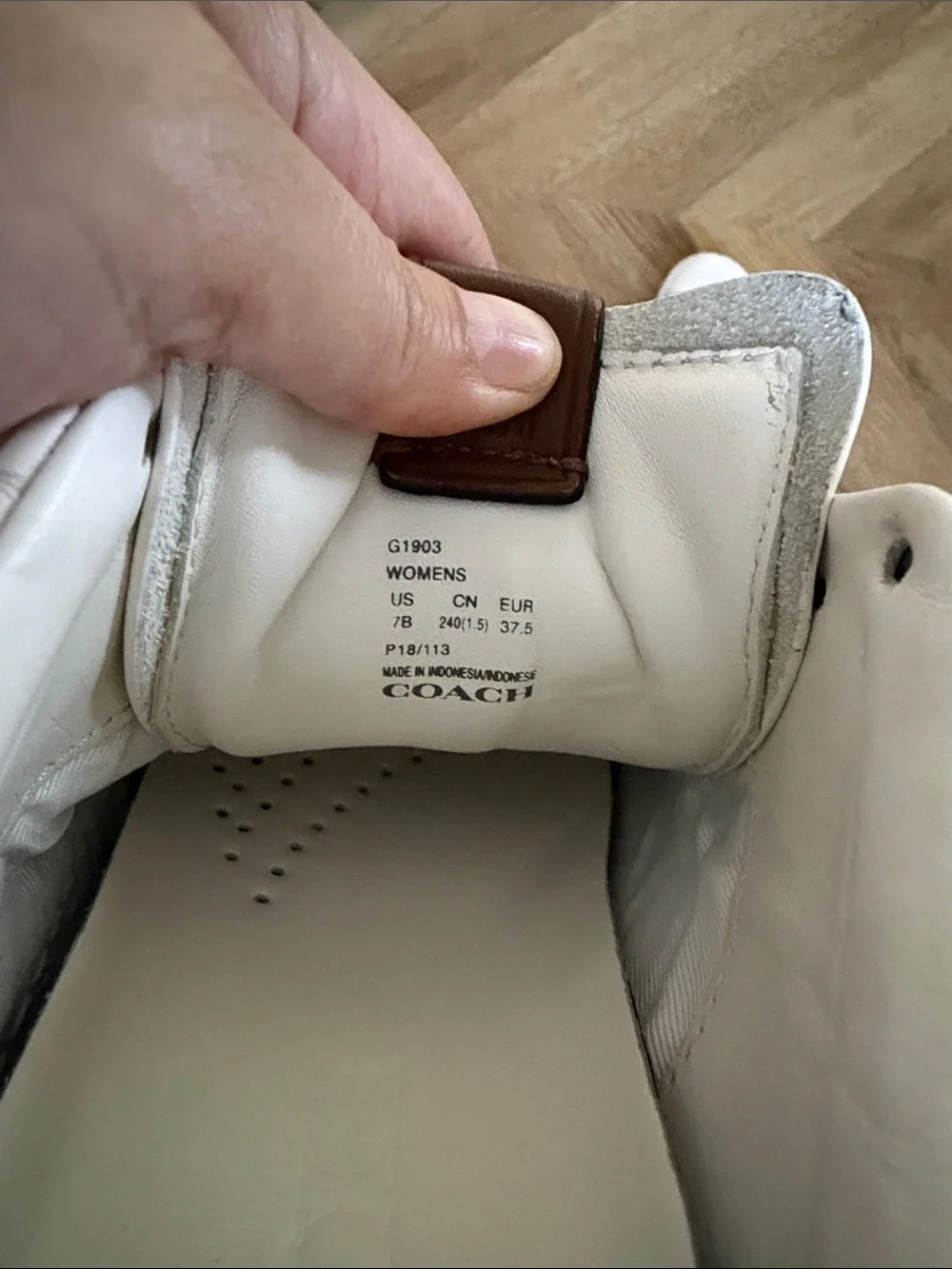 Coach low top sneakers